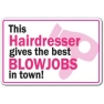 Hair Dresser